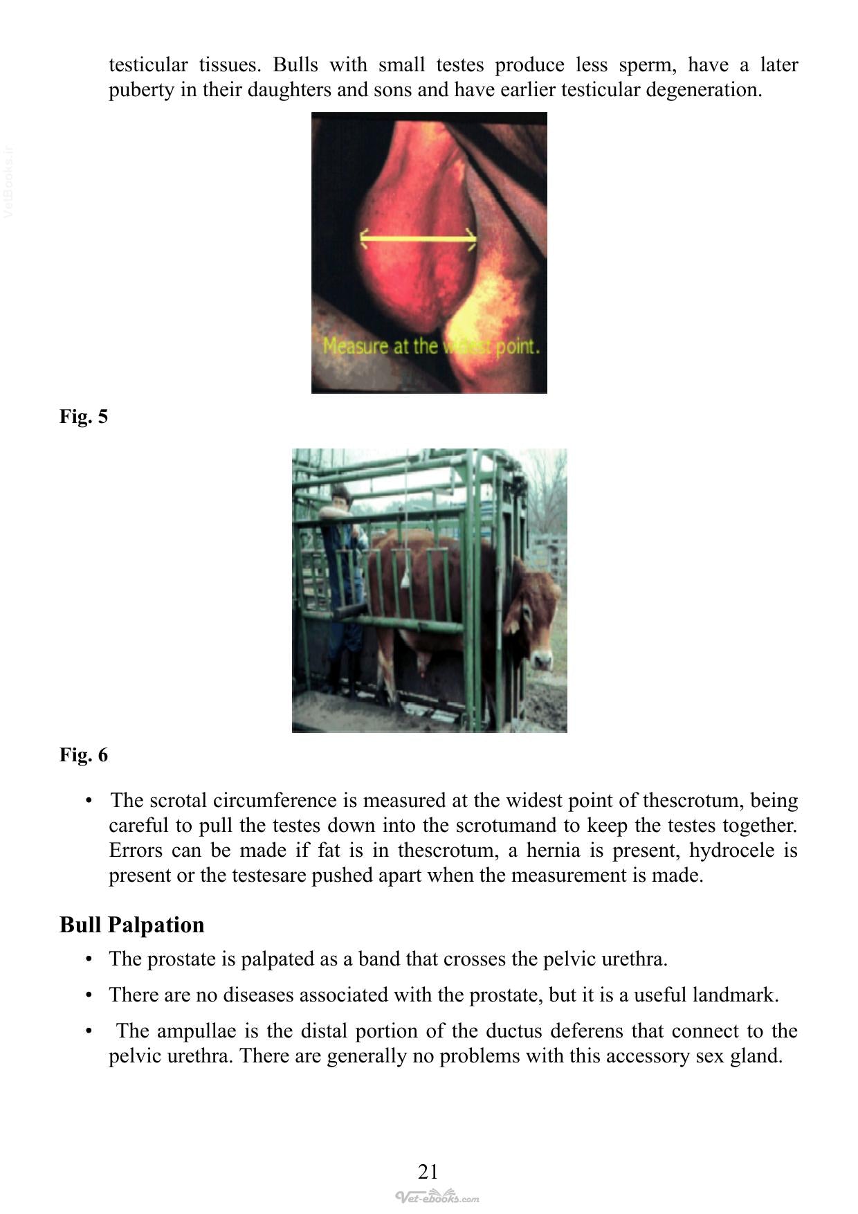 Look inside — page 21
