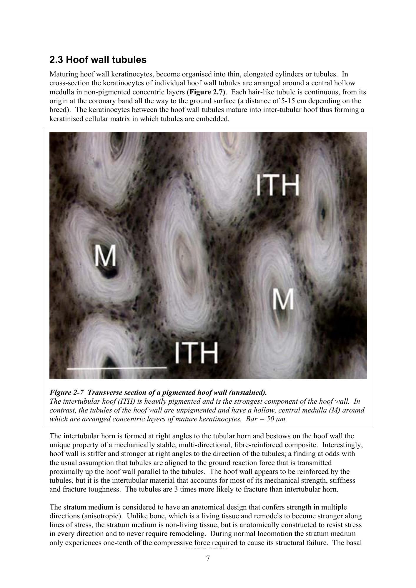 Look inside — page 21