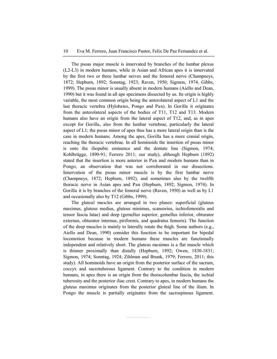 Preview page of Primates Classification Evolution and Behavior