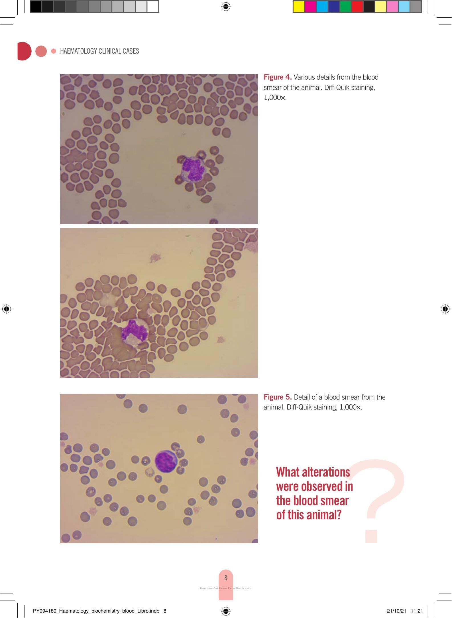 Look inside — page 22