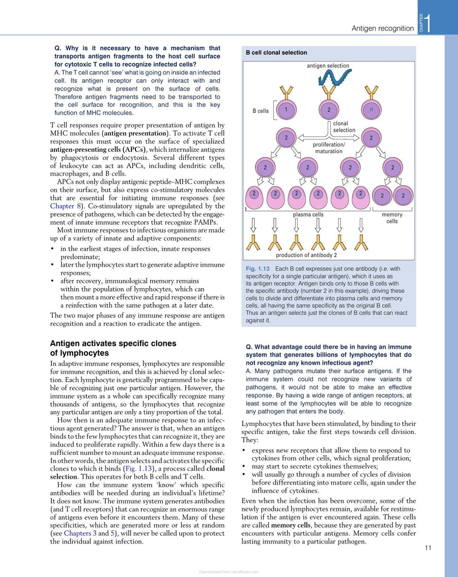 Preview page of Immunology 8th Edition