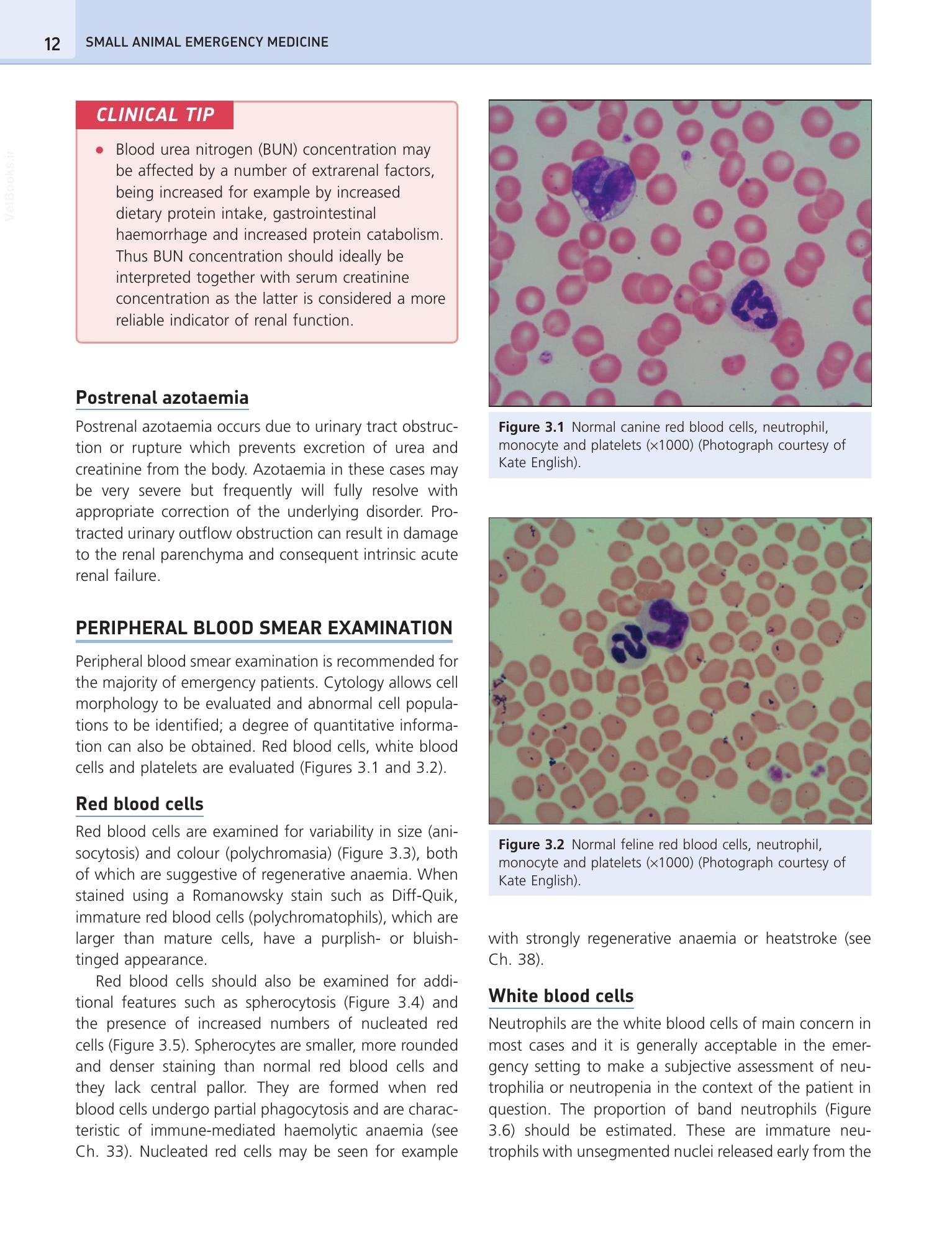 Look inside — page 22