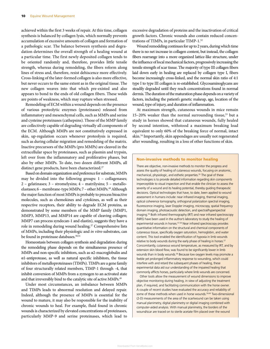 Preview page of Equine Wound Management 3rd Edition