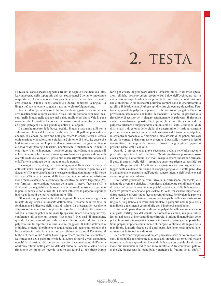 Preview page of Atlante Di Anatomia Del Cane E Del Gatto
