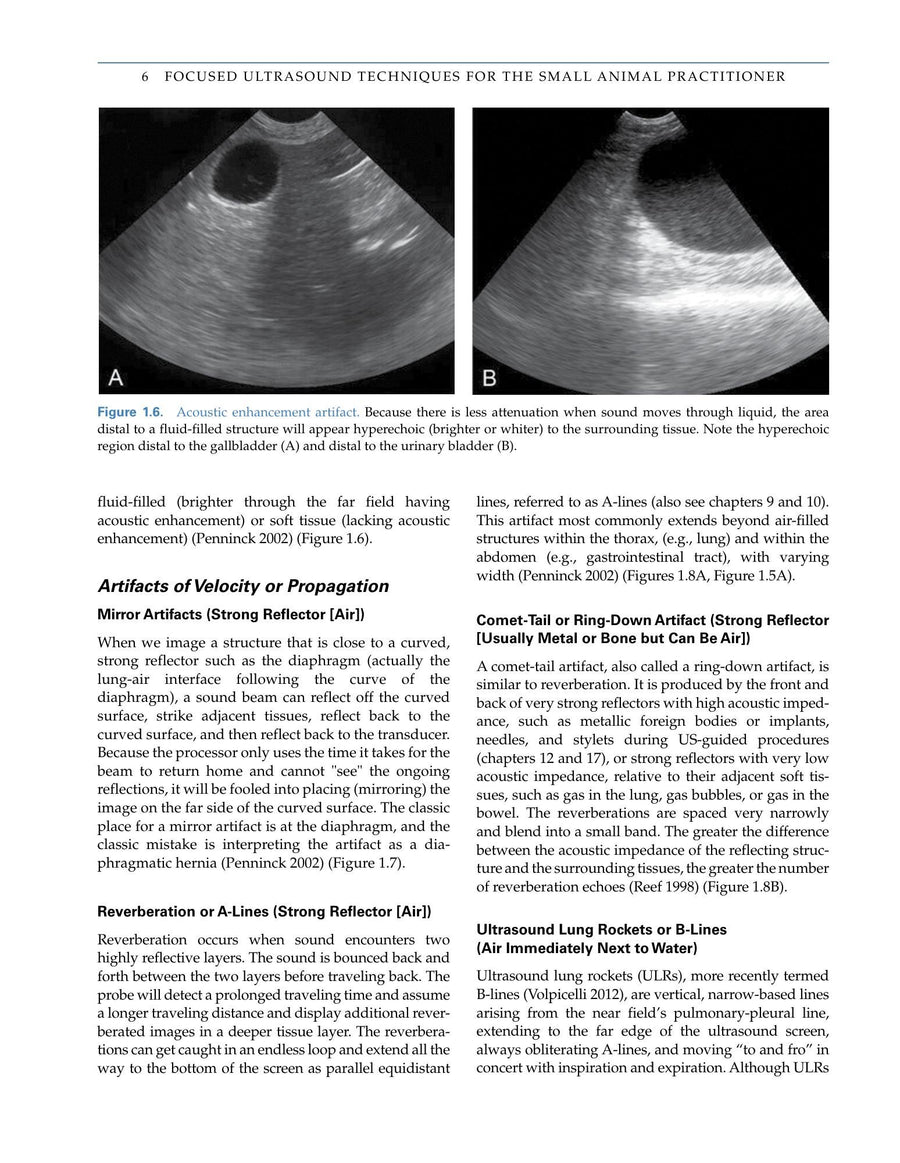 Preview page of Focused Ultrasound Techniques for the Small Animal Practitioner Ebook