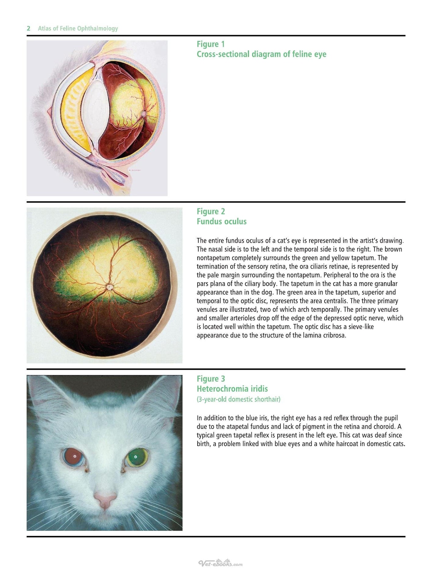 Look inside — page 22