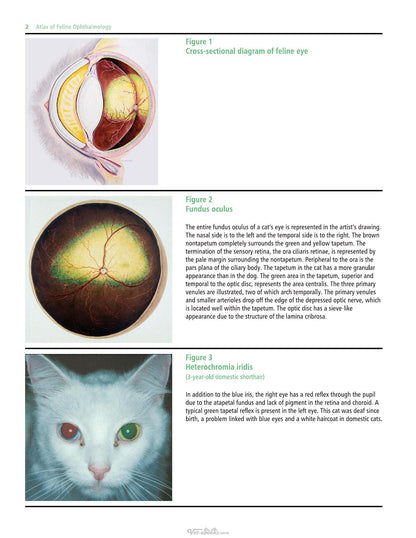 Look inside — page 22