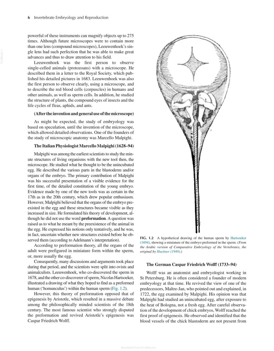 Preview page of Invertebrate Embryology and Reproduction