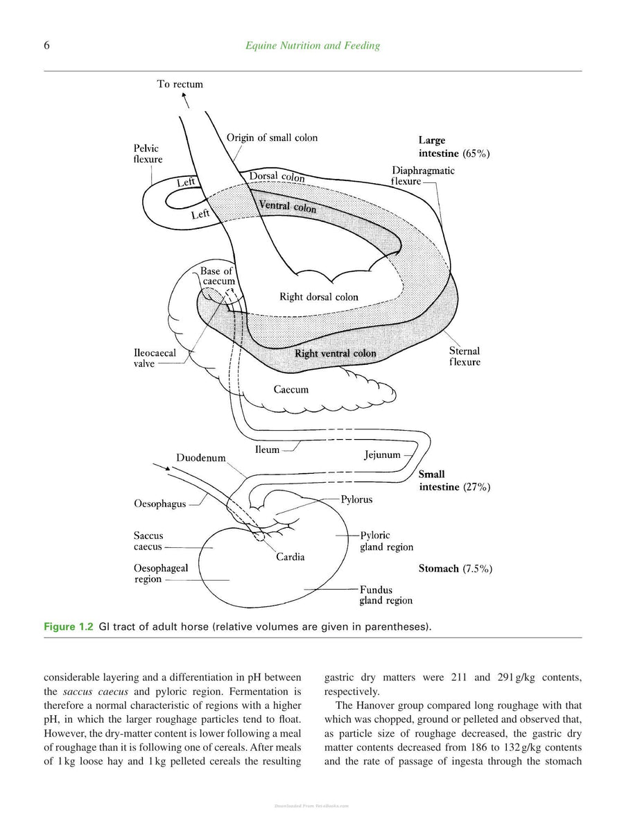 Preview page of Equine Nutrition and Feeding 4th Edition