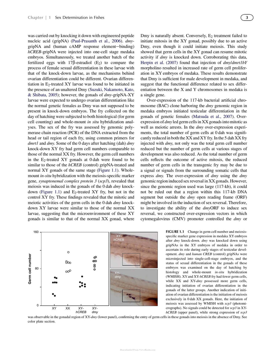 Preview page of Hormones and Reproduction of Vertebrates Volume 1 5