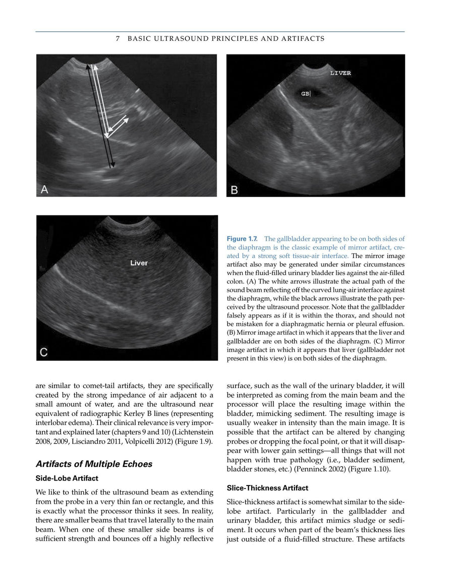 Preview page of Focused Ultrasound Techniques for the Small Animal Practitioner Ebook