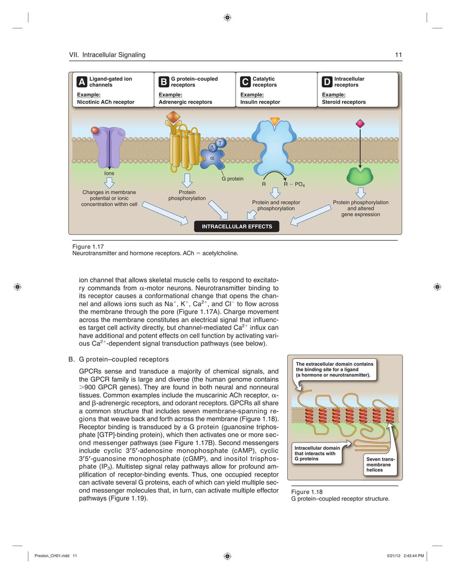 Preview page of Lippincotts Illustrated Reviews Physiology