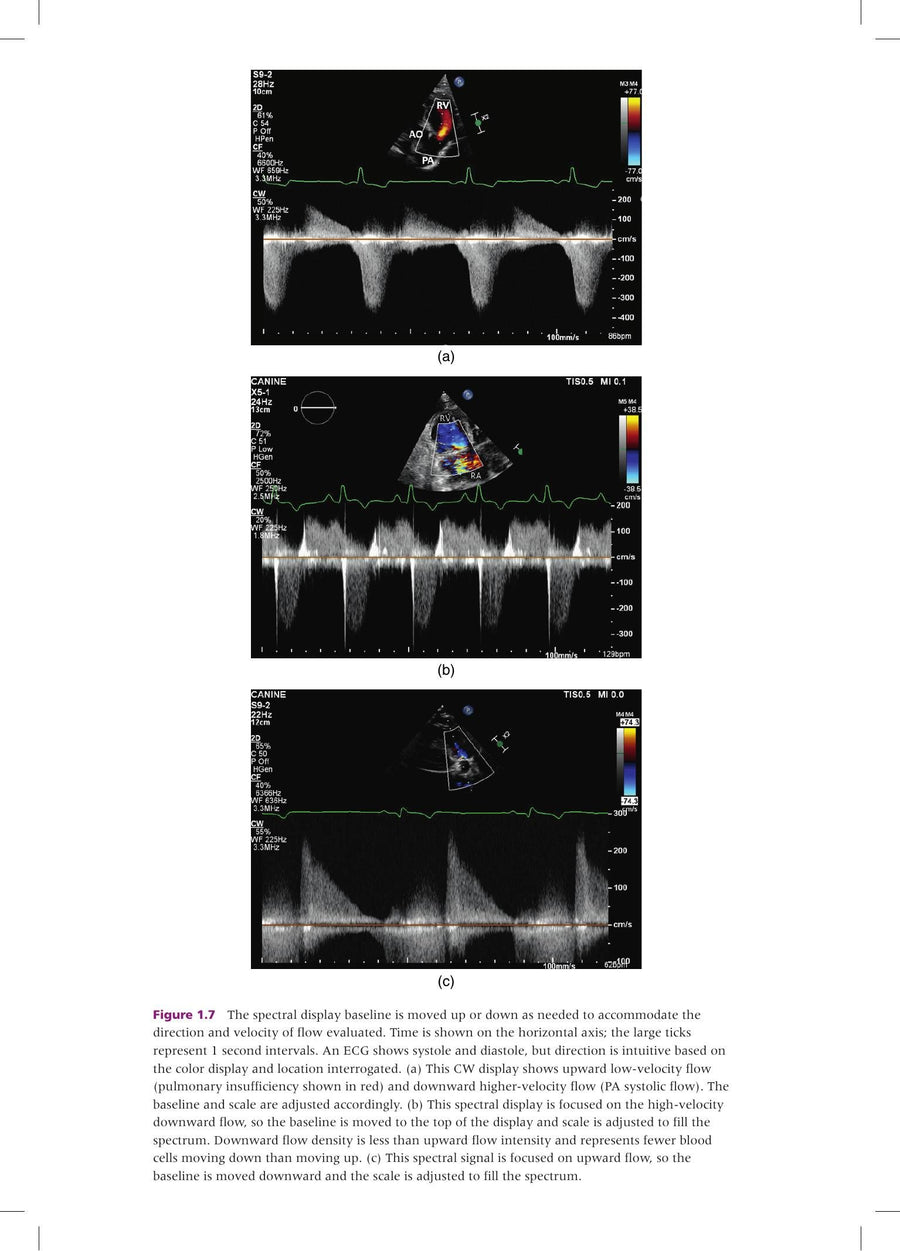 Preview page of Doppler Echocardiography for the Small Animal Practitioner