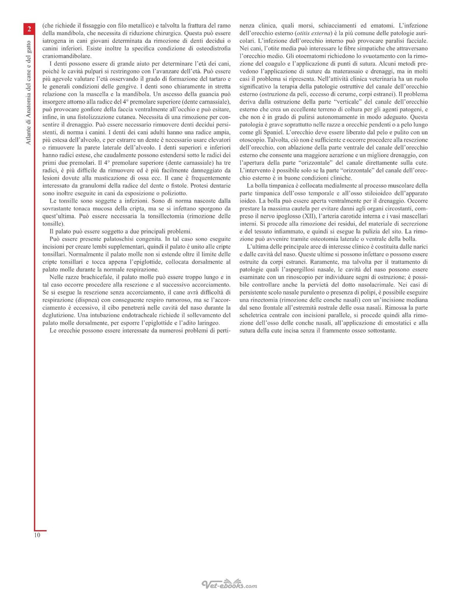 Preview page of Atlante Di Anatomia Del Cane E Del Gatto