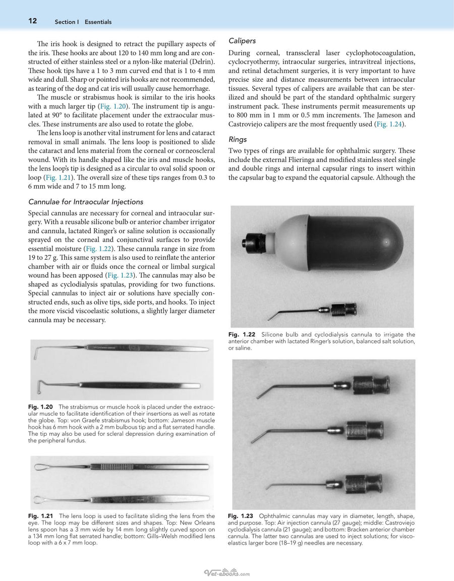 Preview page of Veterinary Ophthalmic Surgery 2nd Edition