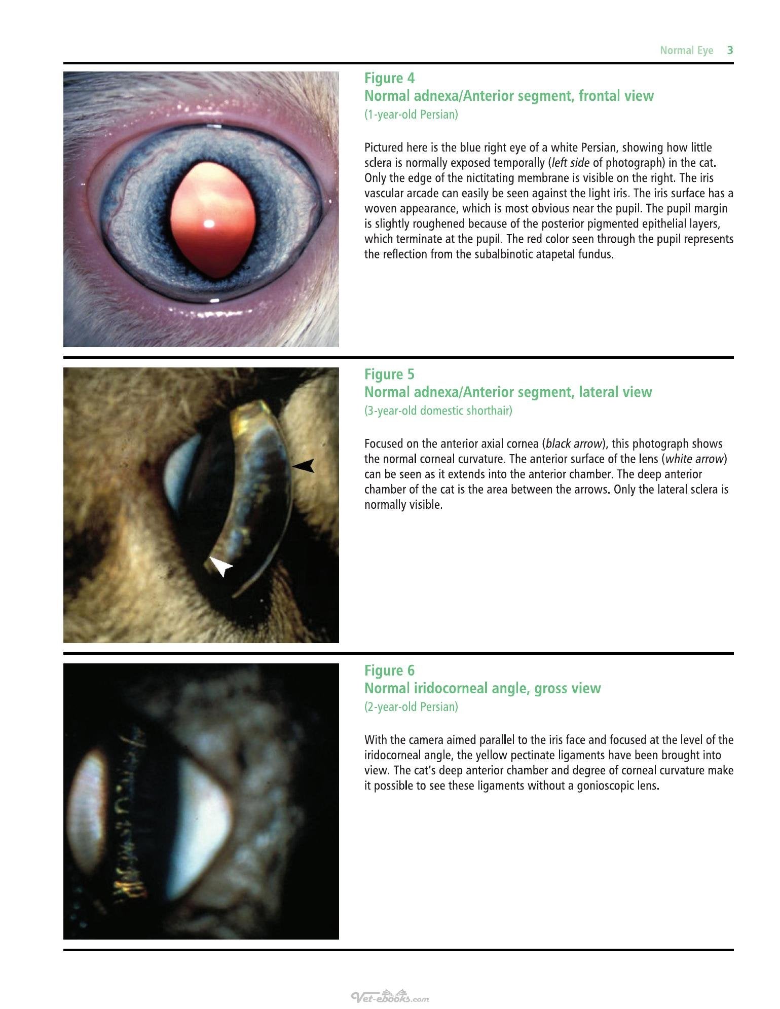 Look inside — page 23