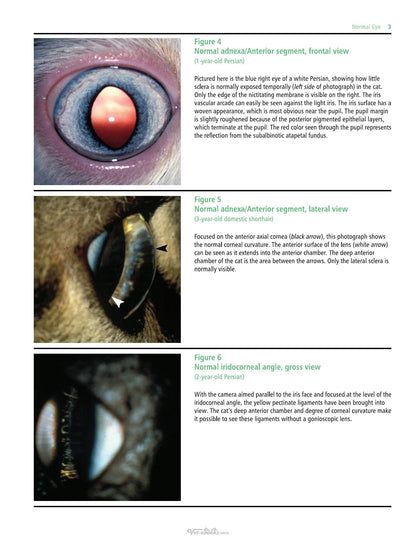 Look inside — page 23