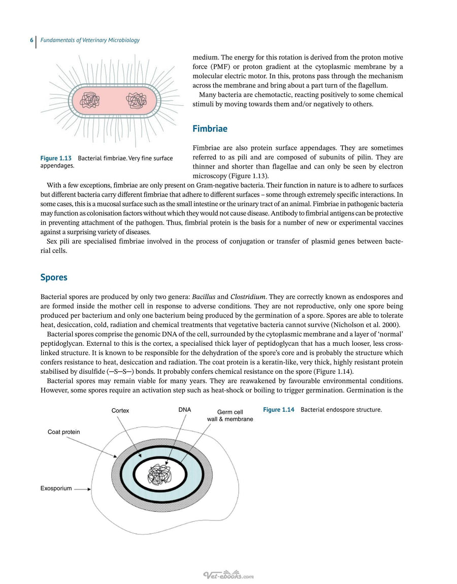 Preview page of Fundamentals of Veterinary Microbiology
