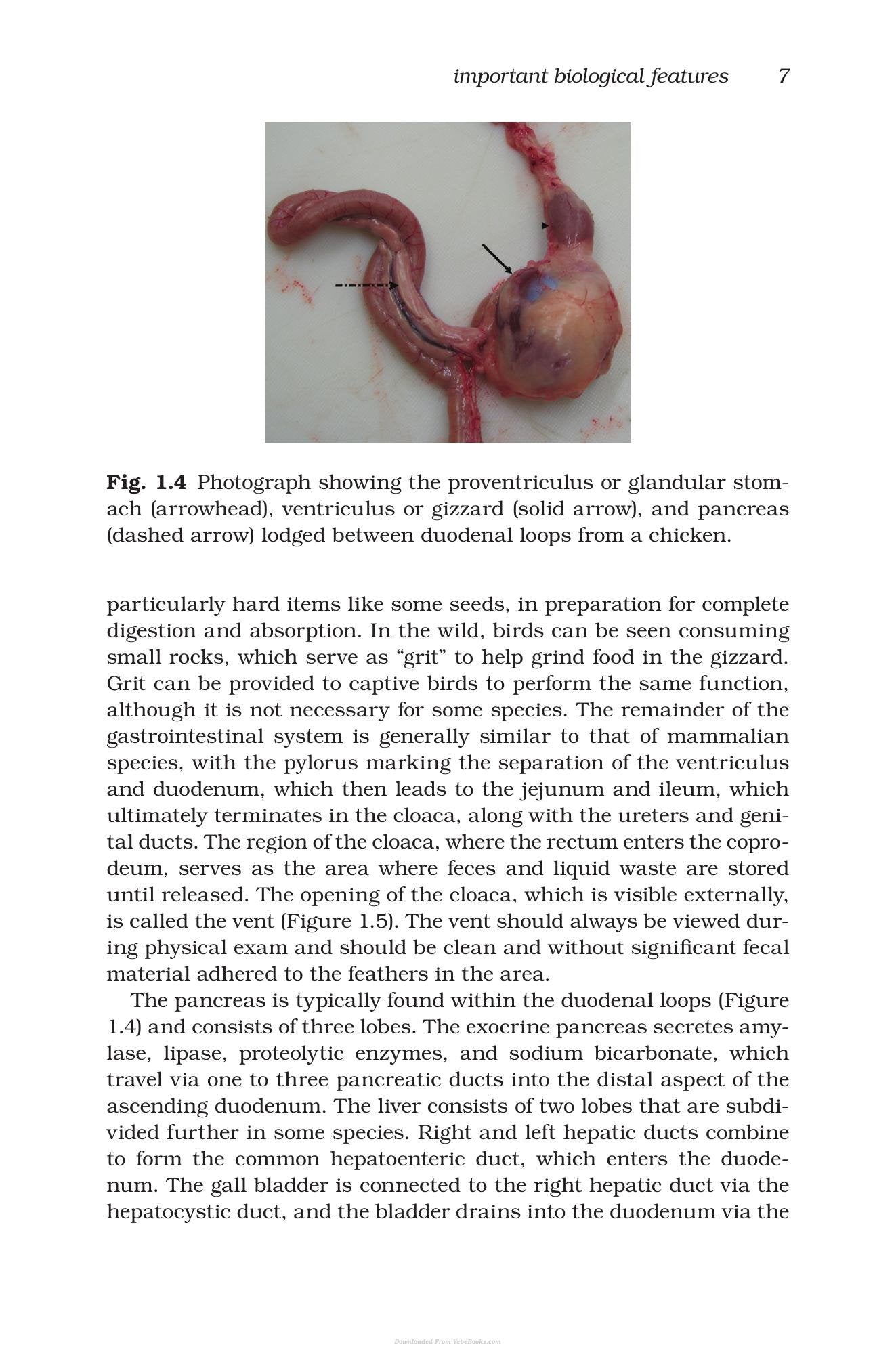 Look inside — page 23