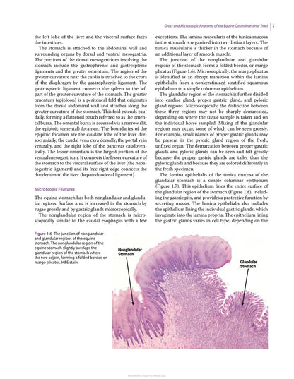 Look inside — page 23