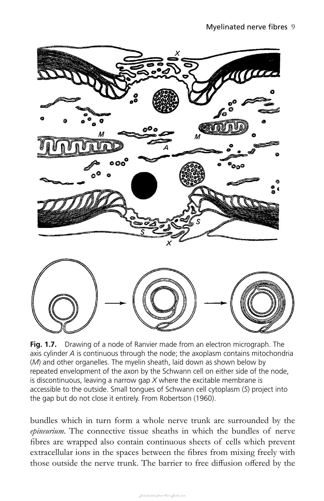 Look inside — page 23