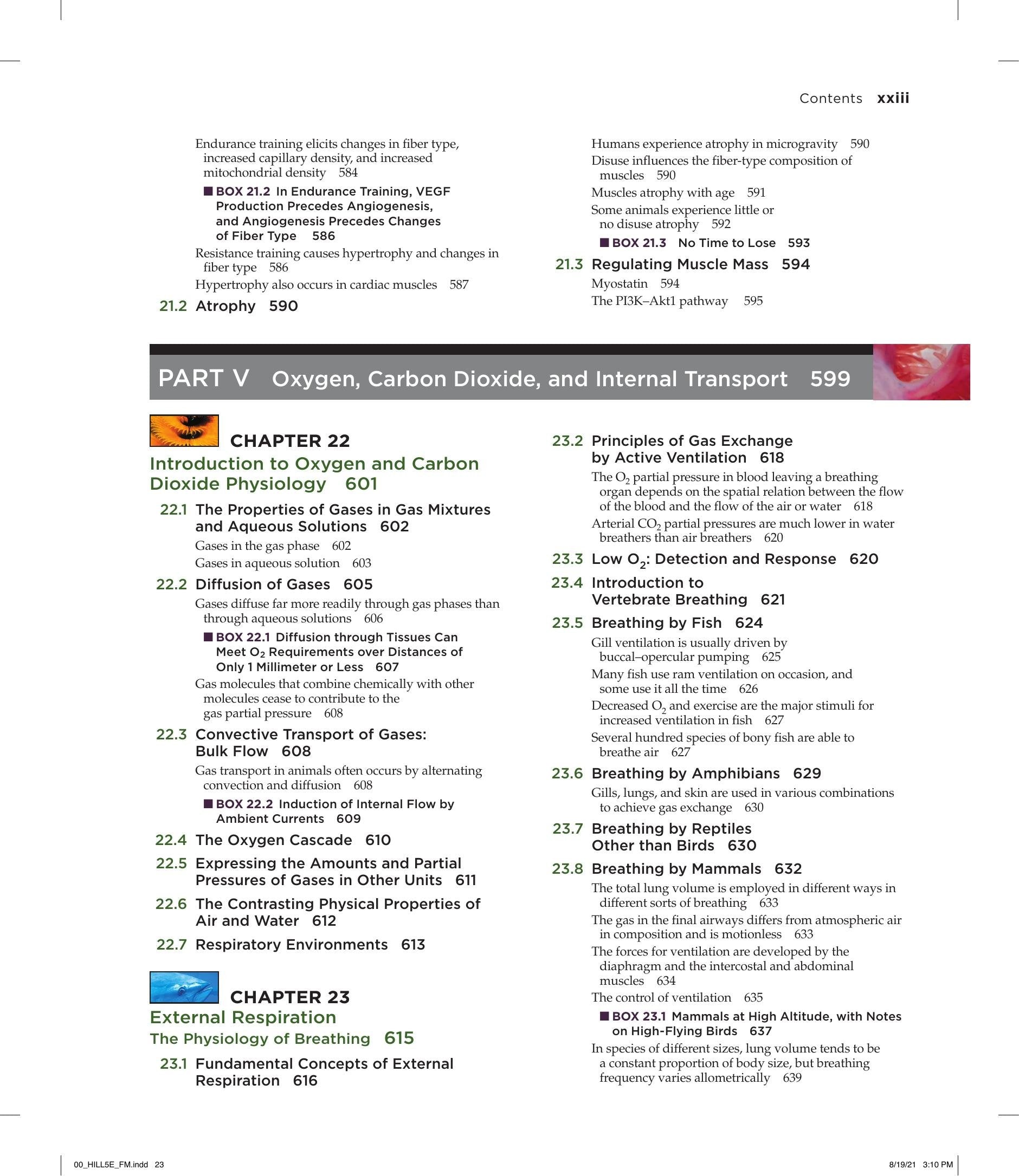 Look inside — page 24