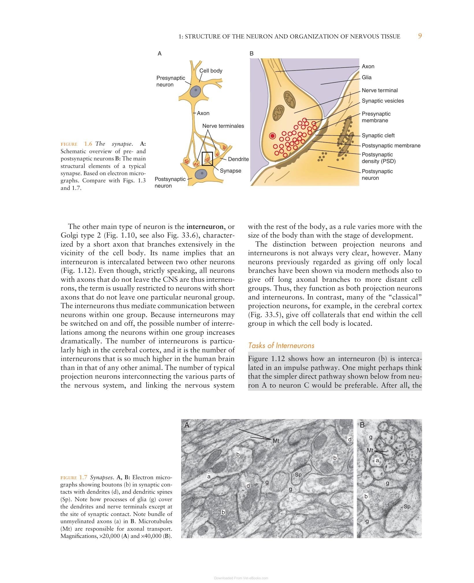 Look inside — page 24