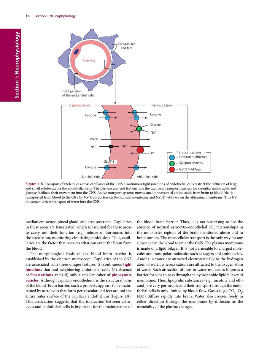 Preview page of Dukes Physiology of Domestic Animals 13th Edition