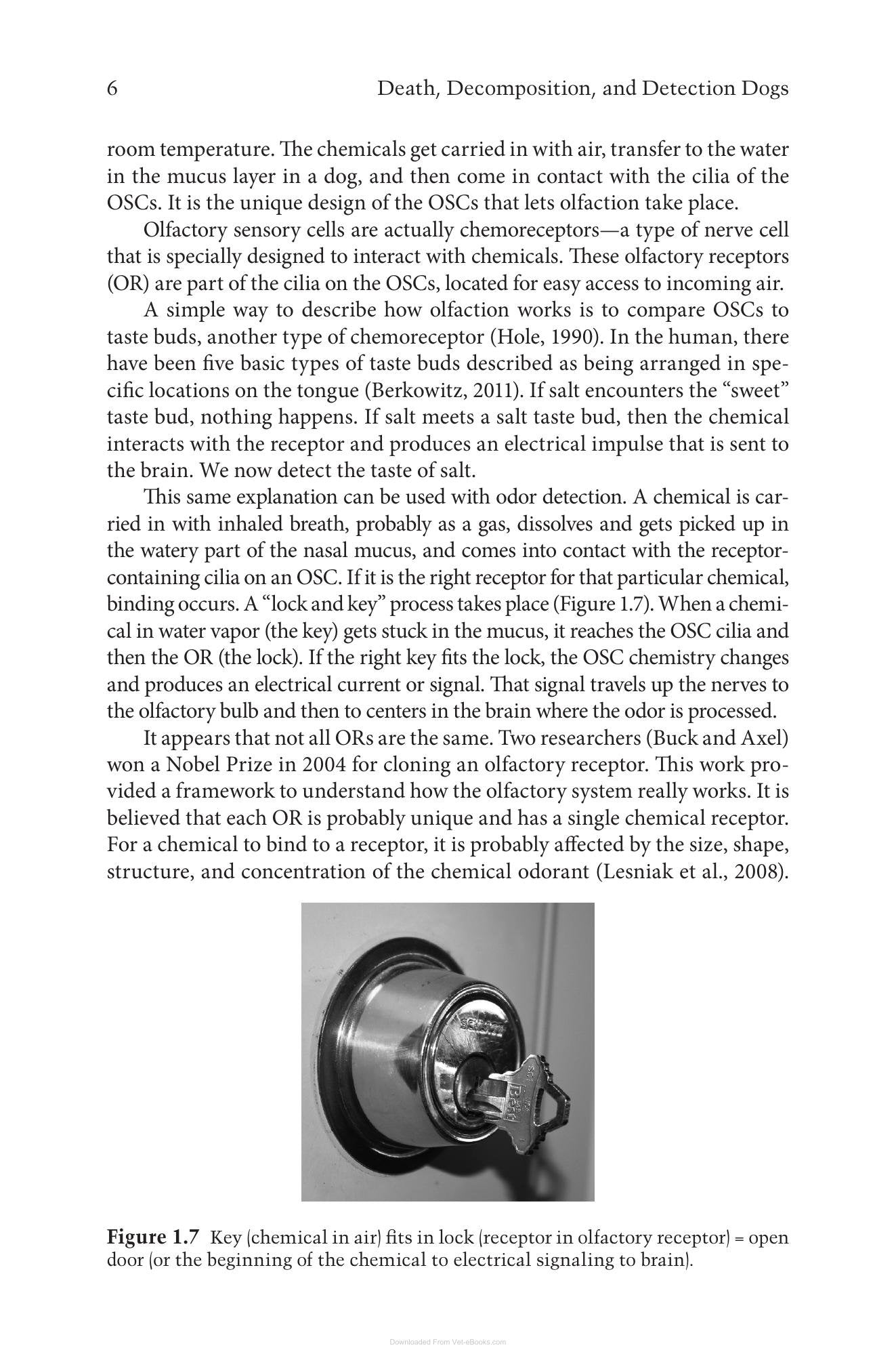 Look inside — page 24