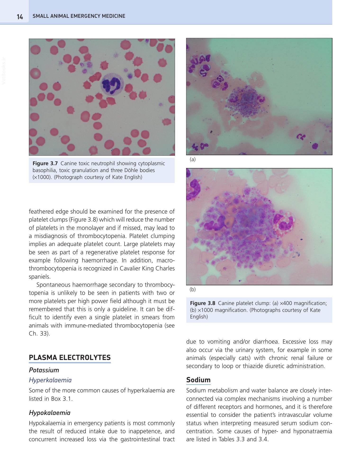 Look inside — page 24