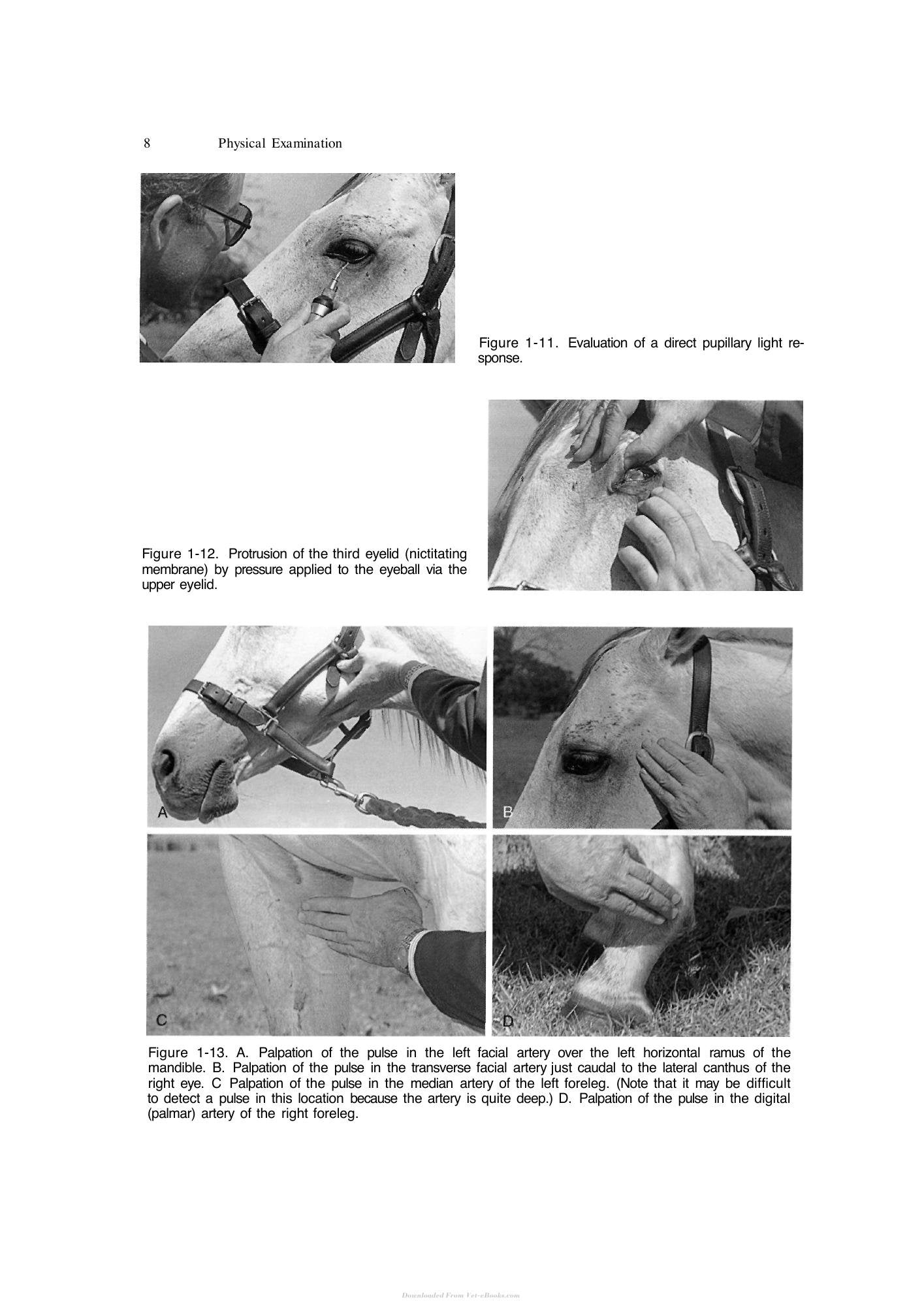 Look inside — page 24
