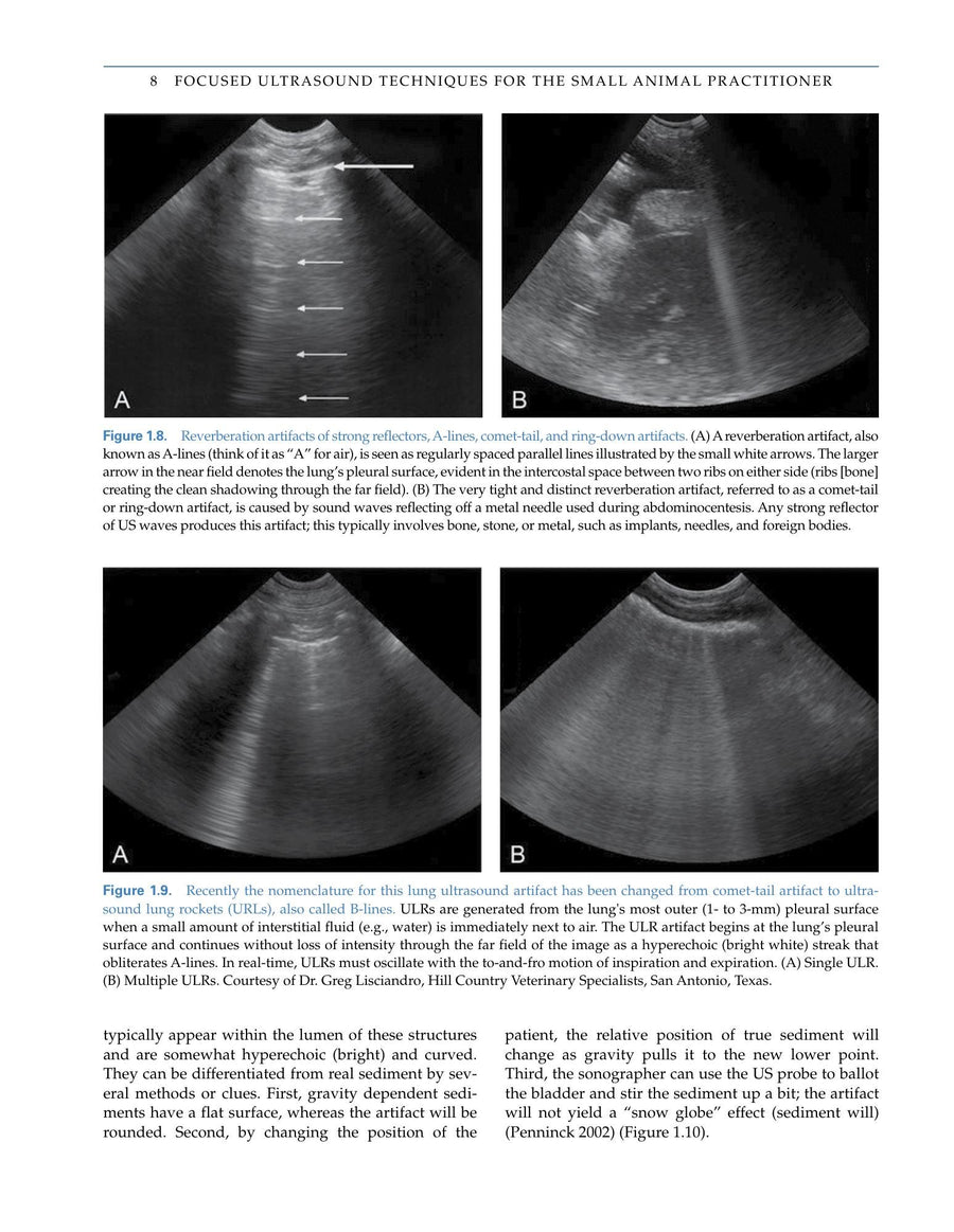Preview page of Focused Ultrasound Techniques for the Small Animal Practitioner Ebook