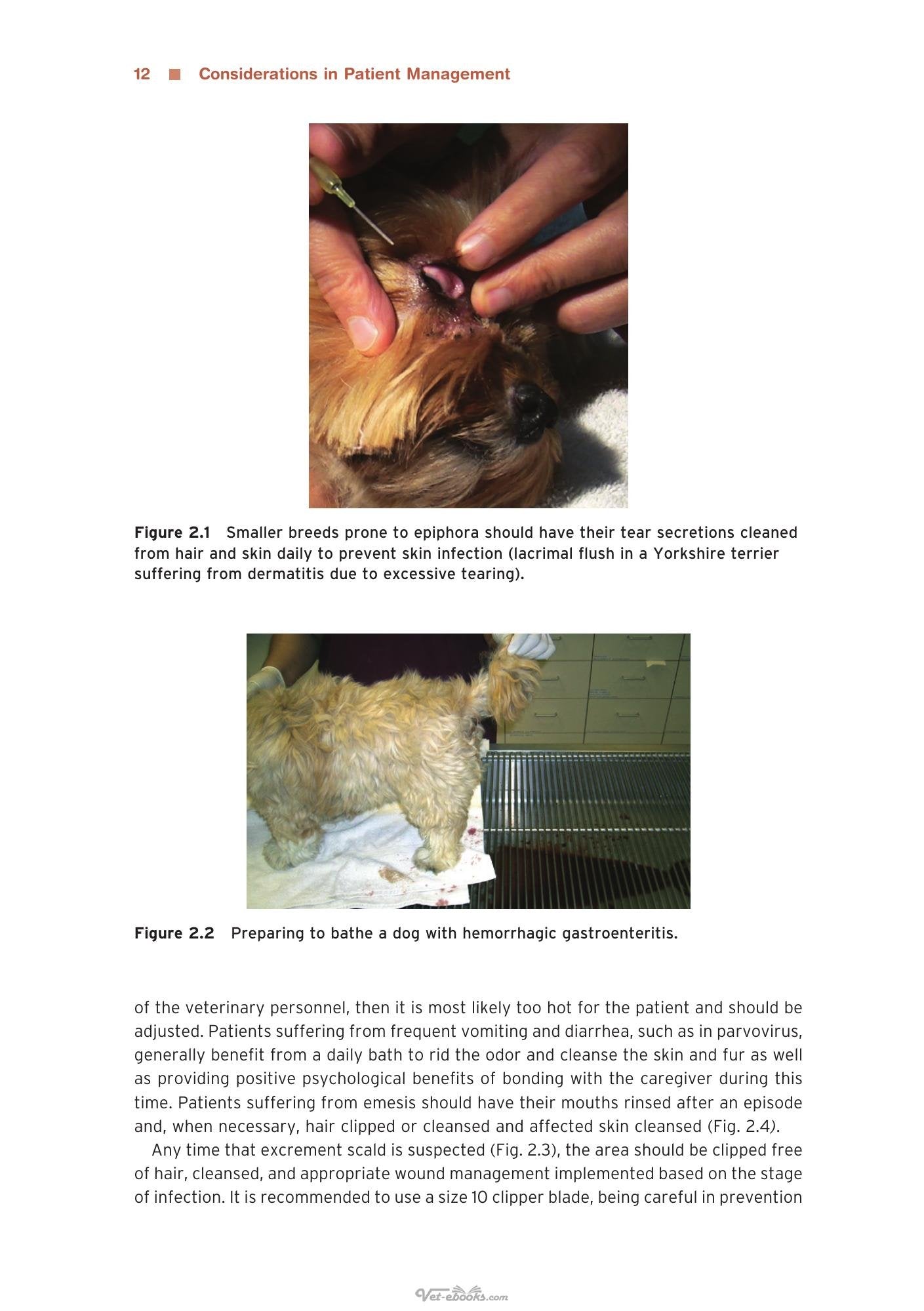Look inside — page 24