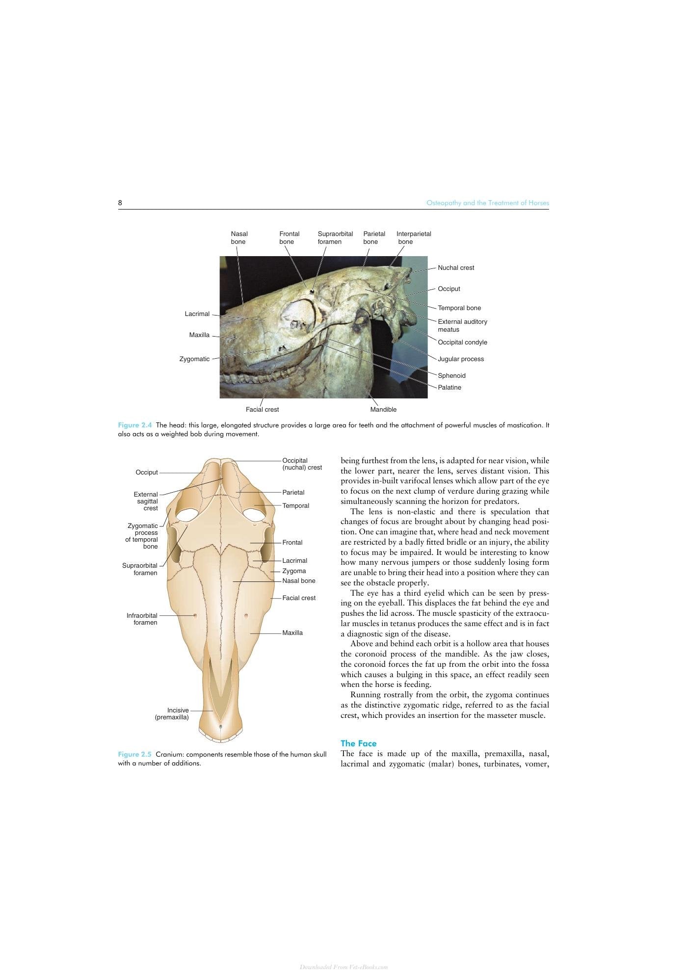 Look inside — page 24