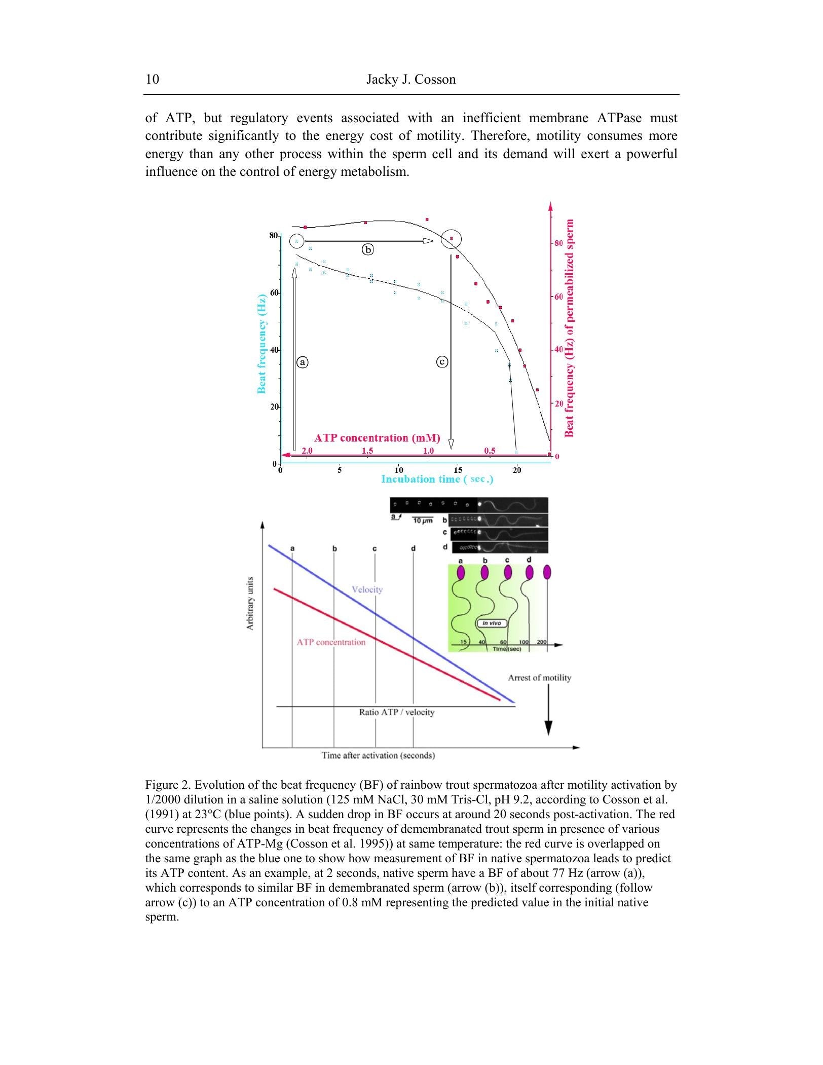 Look inside — page 24