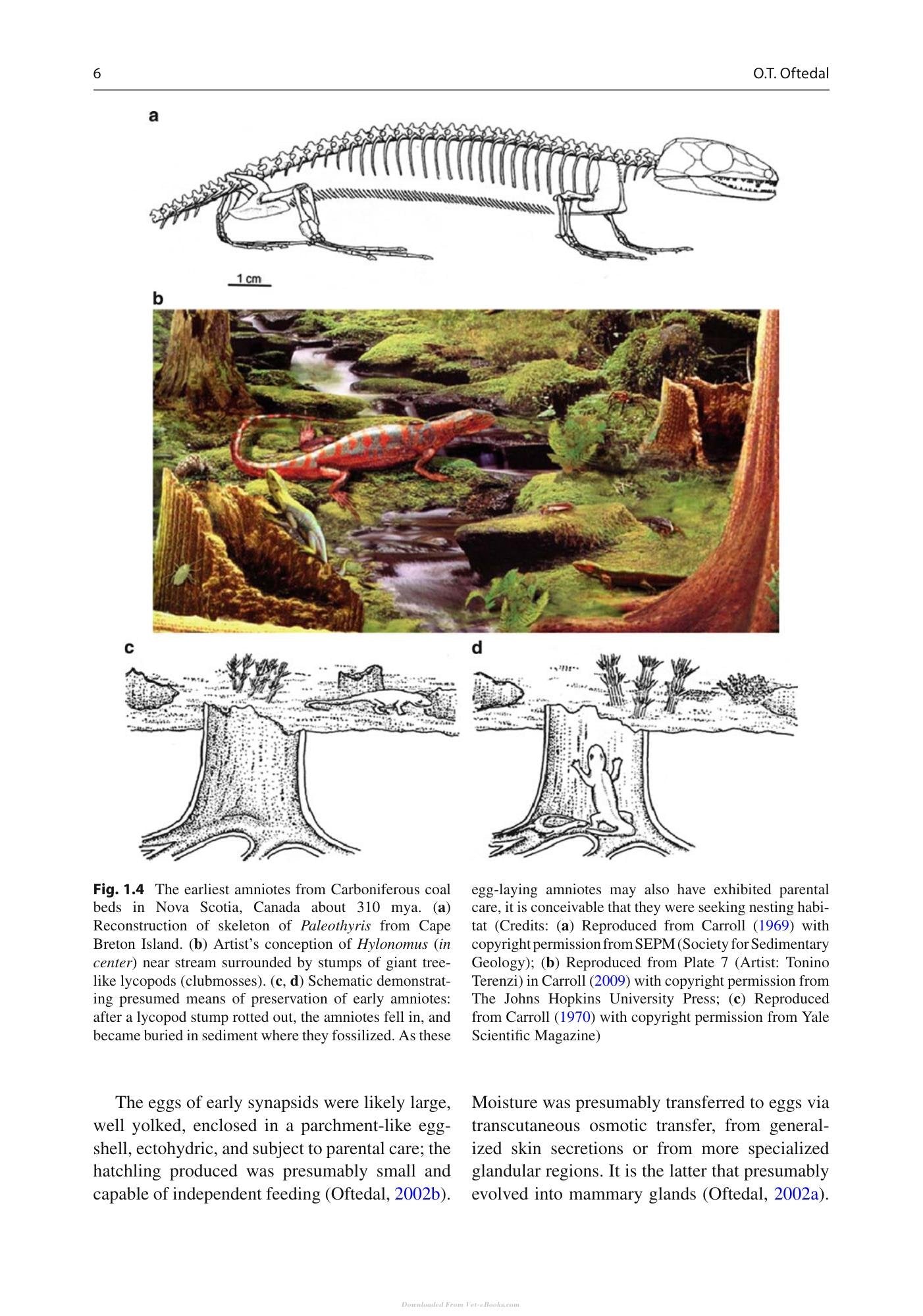 Look inside — page 24