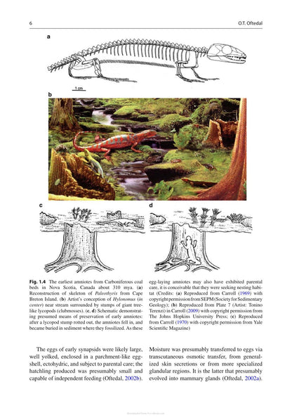 Look inside — page 24