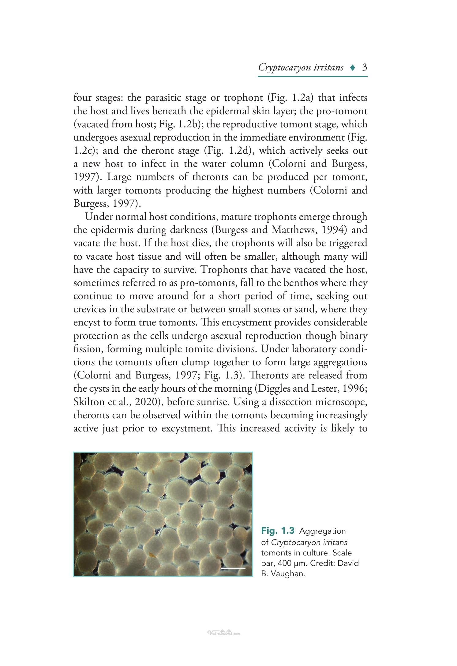 Look inside — page 24