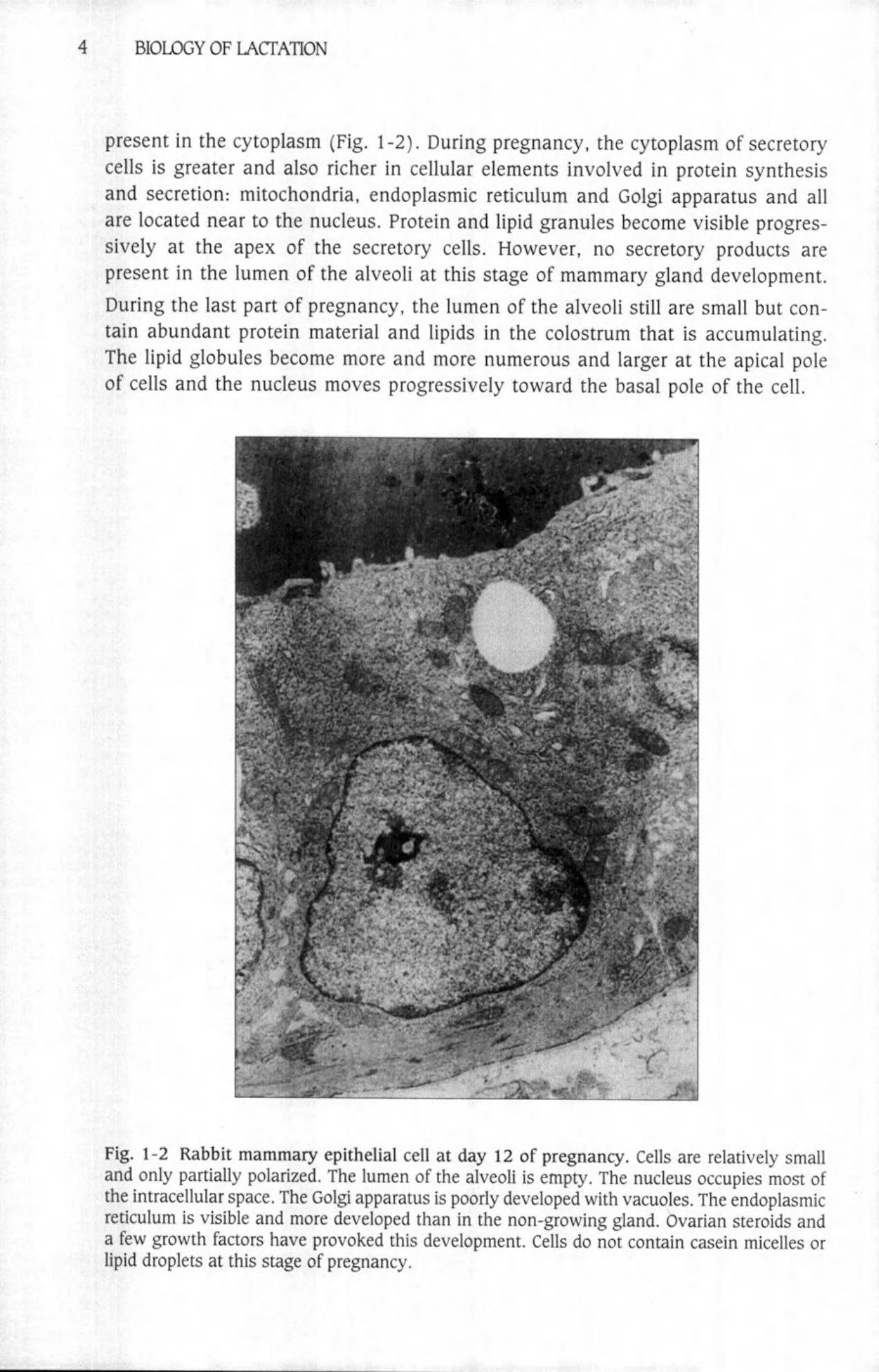 Look inside — page 24