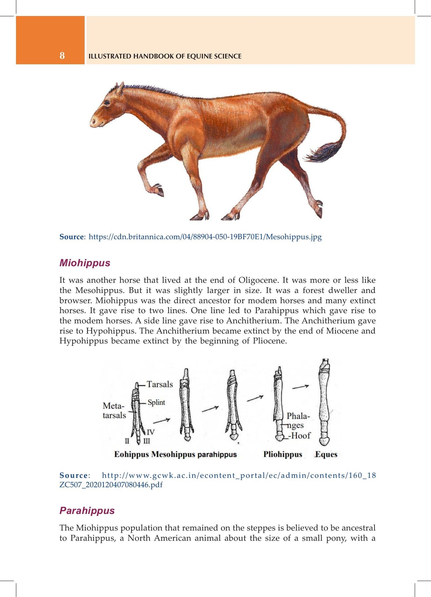 Look inside — page 24