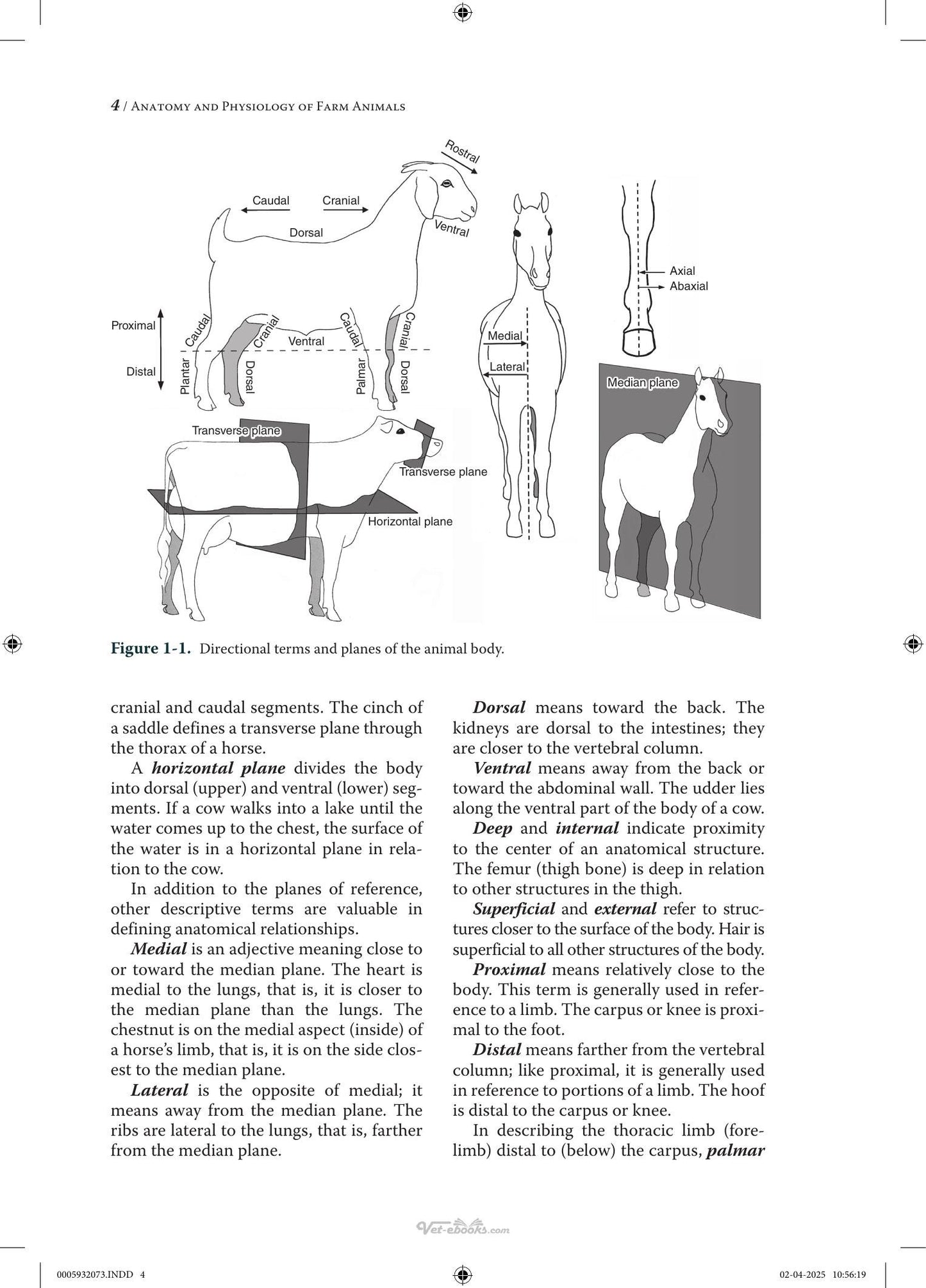 Look inside — page 24