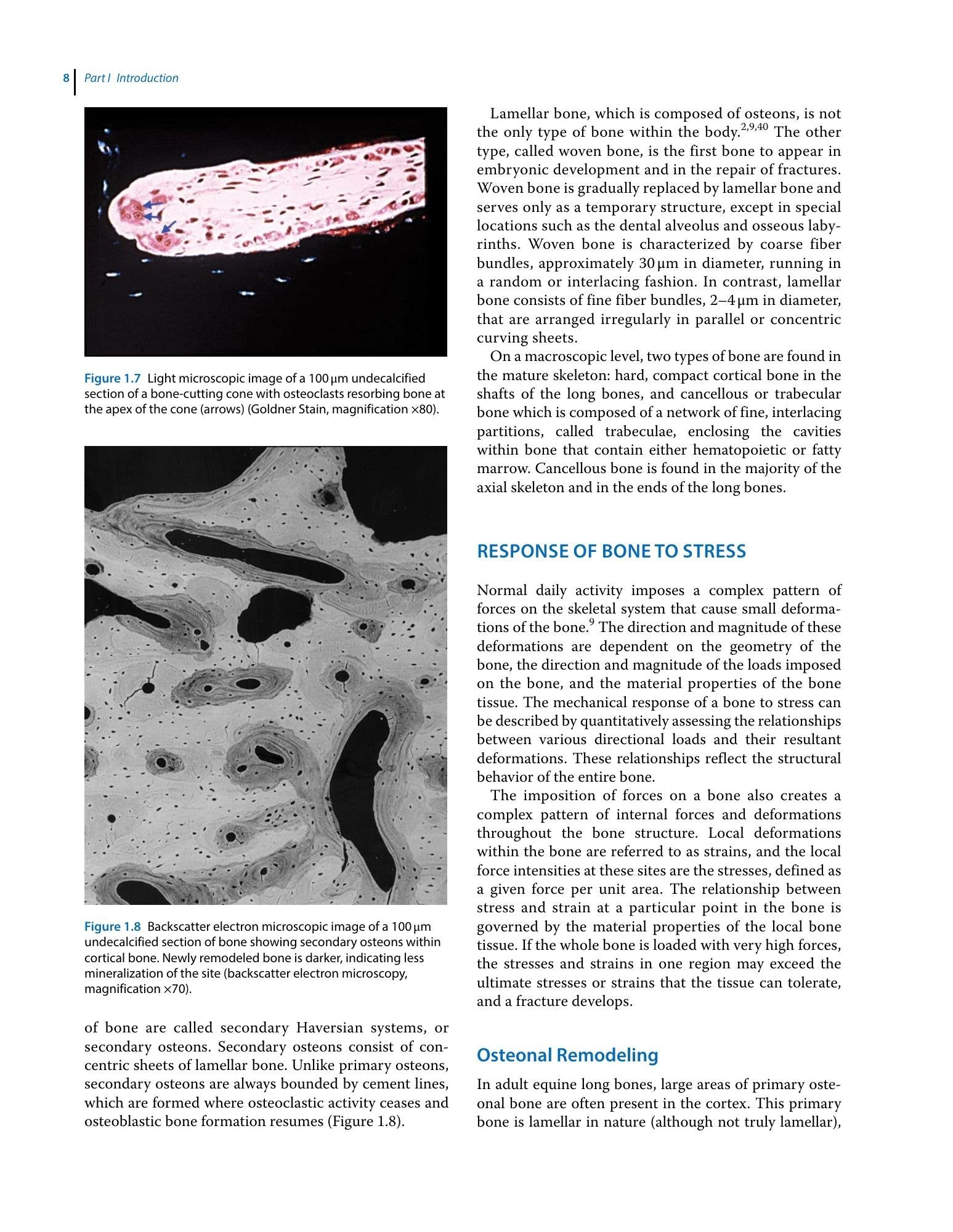 Look inside — page 24