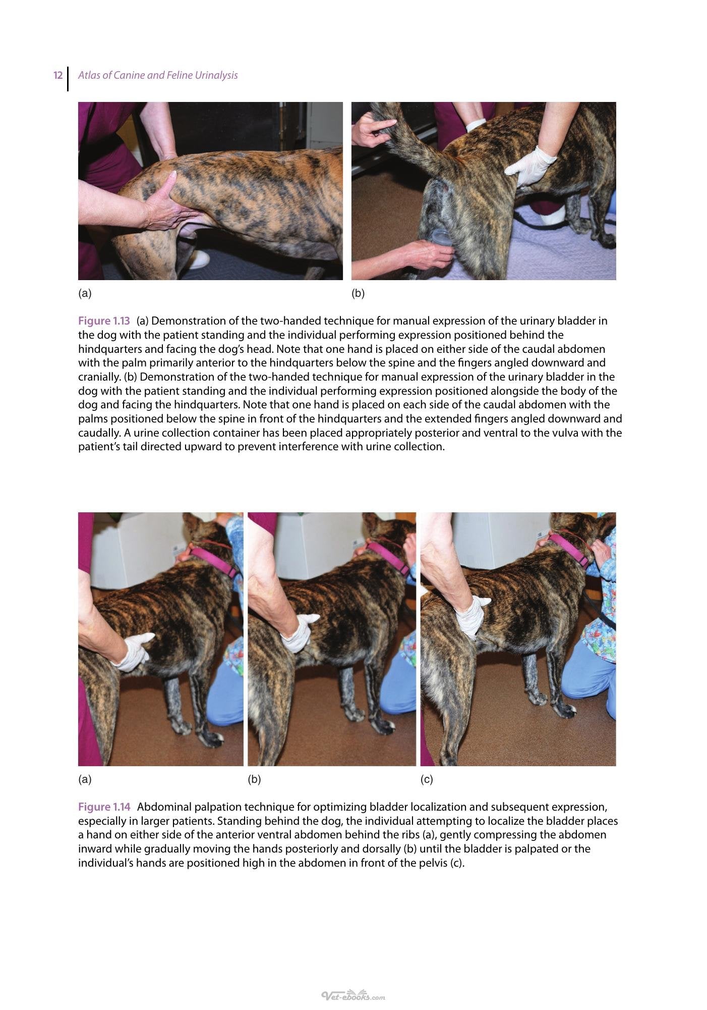 Look inside — page 24