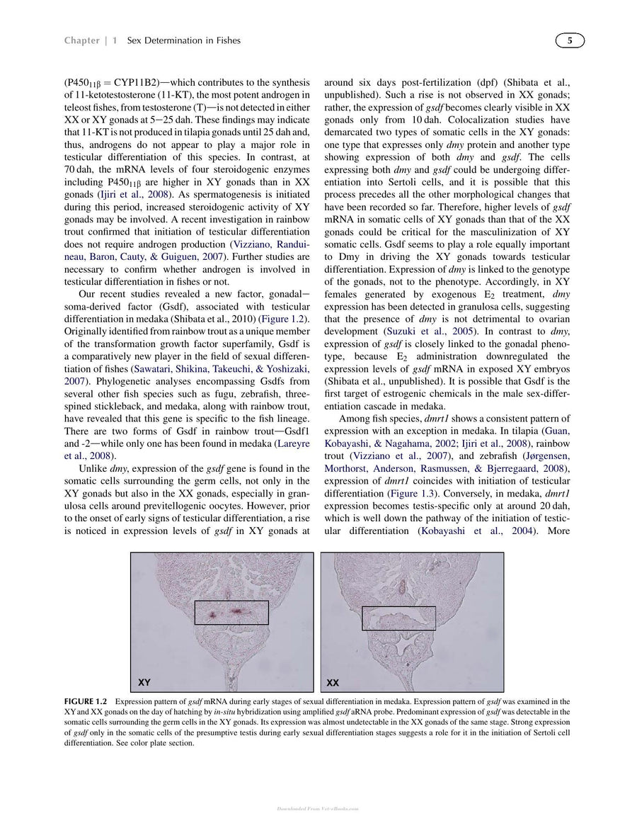 Preview page of Hormones and Reproduction of Vertebrates Volume 1 5