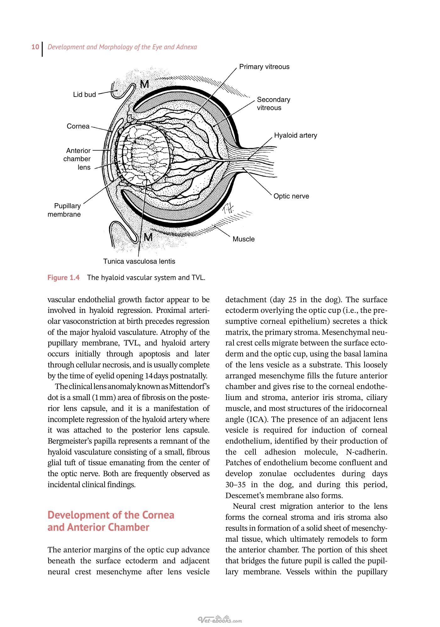 Look inside — page 24
