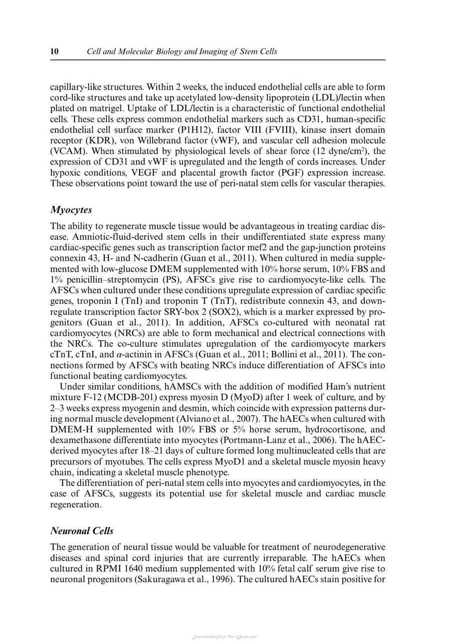 Preview page of Cell and Molecular Biology and Imaging of Stem Cells