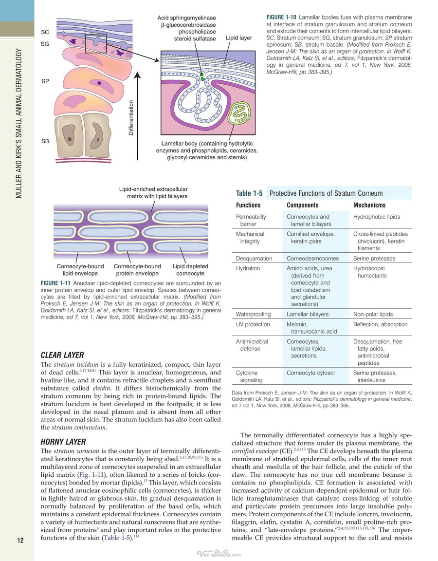 Preview page of Muller and Kirk's Small Animal Dermatology 7th Edition