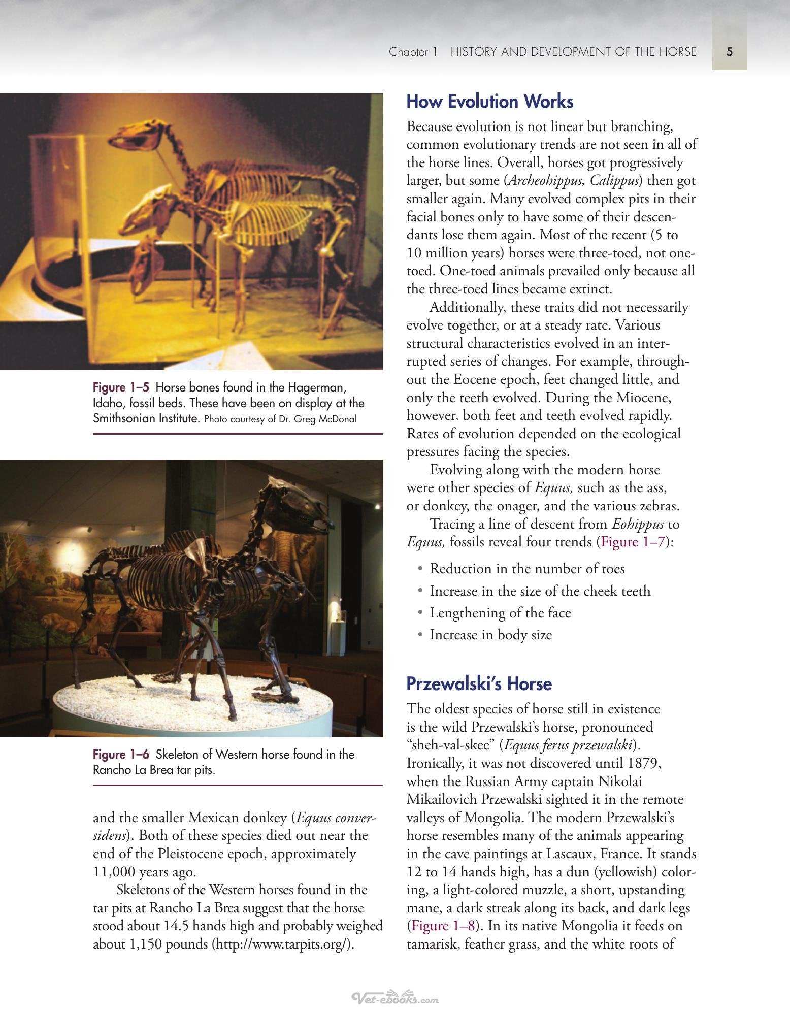 Look inside — page 24