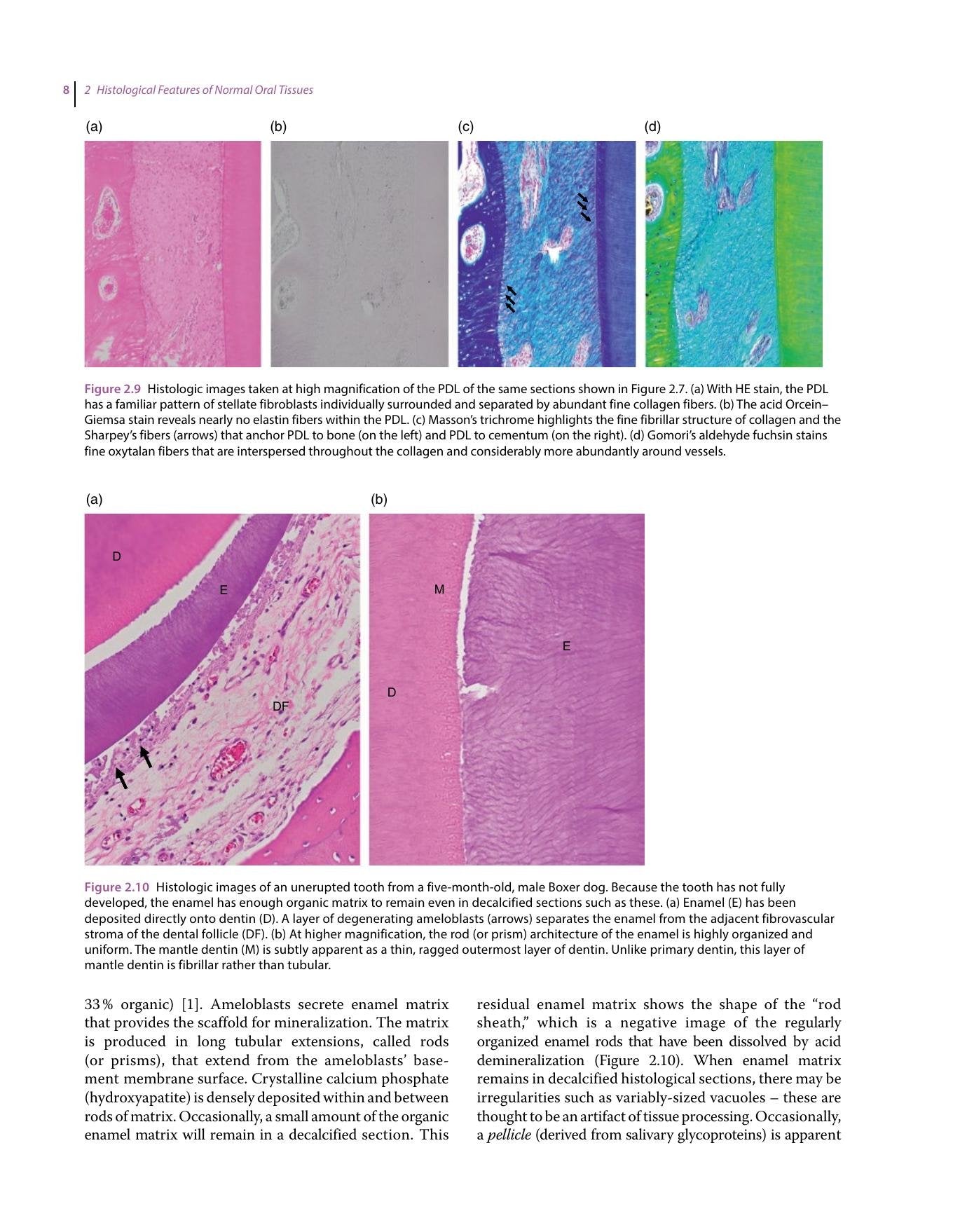 Look inside — page 24