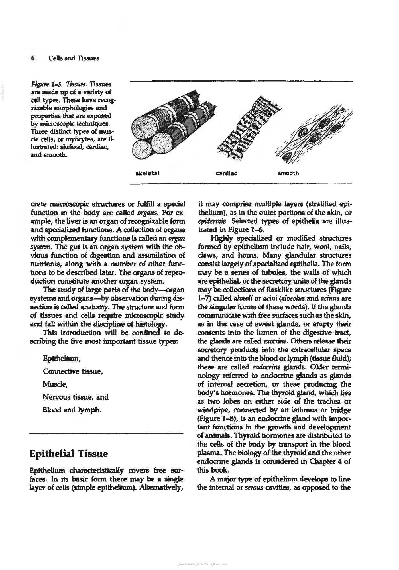 Look inside — page 24
